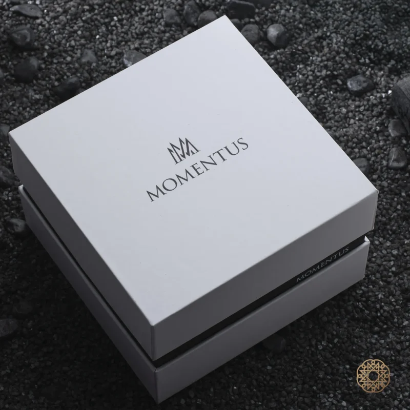 Momentus Aqua Steel Chrono Erkek Kol Saati