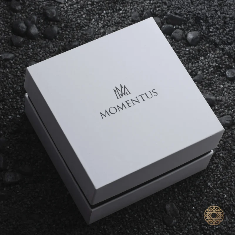 Momentus Blue Steel Chrono Erkek Kol Saati