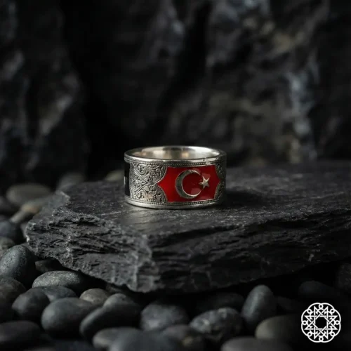 Türk Devleti Gümüş Alyans Modeli